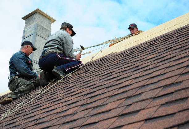 Best Shingle Roofing Installation  in USA